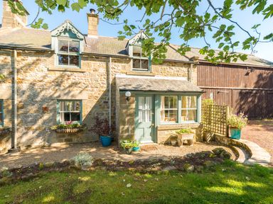 Stone cottage with blue windows and door next to a wooden barn and garden at Townfoot Cottage Elsdon near Otterburn