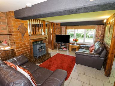 A living room with a television and a fireplace at Severn Bank Lodge in Astley Burf near Stourport-on-Severn