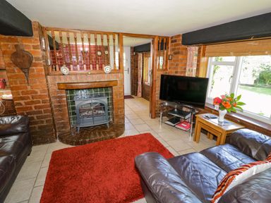 A living room with a fireplace and television at Severn Bank Lodge, Astley Burf near Stourport-on-Severn