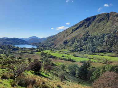 A valley with a lake surrounded by trees and hills under a clear blue sky at Halford Hill in Llanberis