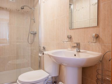 A bathroom with a shower area a toilet a pedestal sink and a mirror at Hendre Cottage in Bronaber near Trawsfynydd