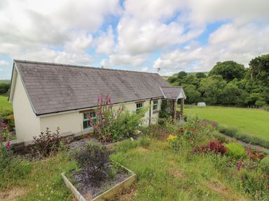 A garden with flowers and plants next to a single-story house with a gable roof at Blaenffynnon Bach in Trelech near Crymych