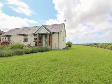 A detached house with a small porch surrounded by a green lawn and garden with flowers at Blaenffynnon Bach in Trelech near Crymych