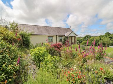 A garden with various flowering plants and bushes in front of a small house in a rural area