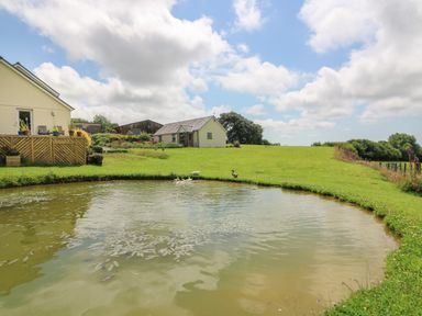 A pond with ducks near a grassy hill with houses and trees at Blaenffynnon Bach in Trelech near Crymych