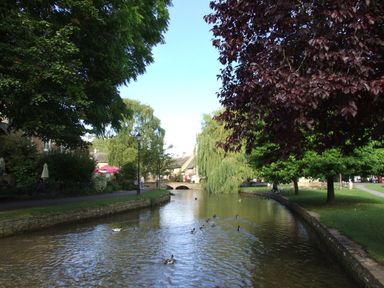 A river with ducks swimming and trees on both sides near a stone bridge at Island Yurt in Beckford near Tewkesbury