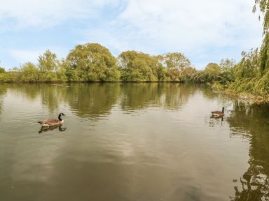A body of water with two ducks and trees along the shore at Island Yurt in Beckford near Tewkesbury