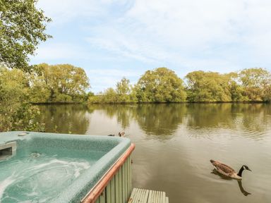 An outdoor hot tub next to a lake with a goose swimming and trees in the background at Island Yurt Beckford near Tewkesbury