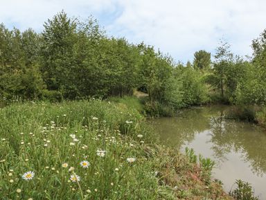 A small pond surrounded by green trees and wildflowers at Island Yurt in Beckford near Tewkesbury