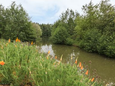 A river surrounded by green trees and orange flowers on the bank at Island Yurt in Beckford near Tewkesbury