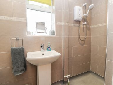 A bathroom with a pedestal sink and hand soap next to a shower with a handheld showerhead and grey towel at The Old Stable in Mold