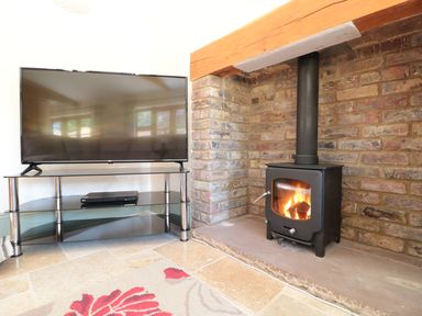 A television on a glass and metal stand next to a wood burning stove with a fire in a room with brick walls and tiled floor at The Old Dairy in Newnham-on-Severn