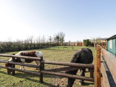 A fenced grassy paddock with two ponies grazing at The Nook in Royal Wootton Bassett