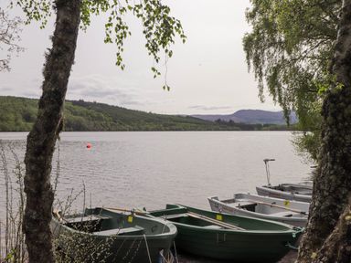 A lake with several boats docked by the shore and trees framing the view at Pebbles Cottage in Achilty near Strathpeffer