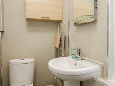A bathroom with a toilet a sink a mirror a wooden cabinet and a towel on a heated rail at Sandown in Bowness-on-Windermere