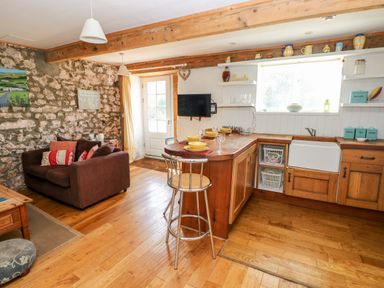 A kitchen and living area with wooden floor exposed stone wall sofa and kitchen counter at Beekeeper's Cottage Pembroke