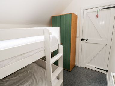A small bedroom with a white bunk bed a green wardrobe and a white door at Beekeeper's Cottage in Pembroke