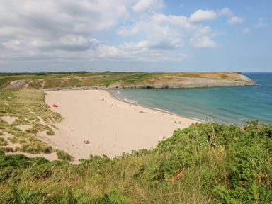 A sandy beach with a few people near the water and on the sand with grassy dunes and cliffs in the background at Beekeeper's Cottage in Pembroke