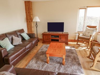 A living room with brown leather sofas a wooden coffee table a TV on a wooden stand and a rocking chair at Bluebell House and Gardens Gurteenulla near Ballydehob County Cork