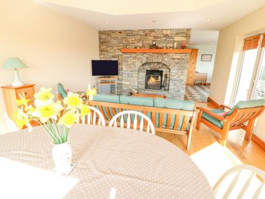 A living room with a stone fireplace a green couch a wooden armchair a table with yellow flowers and a TV at Bluebell House and Gardens Gurteenulla near Ballydehob County Cork