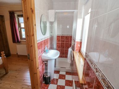 A bathroom with a pedestal sink shower and a window next to a wooden door at Bluebell House and Gardens Gurteenulla near Ballydehob County Cork