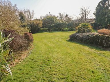 A garden with a grass path bordered by bushes and plants at Bluebell House and Gardens Gurteenulla near Ballydehob County Cork
