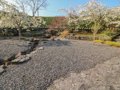 An outdoor garden area with gravel ground trees with white blossoms stone-bordered planting areas and a stone pathway at Bluebell House and Gardens Gurteenulla near Ballydehob County Cork