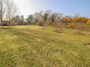 A garden area with small leafless trees and a grassy lawn at Bluebell House and Gardens in Gurteenulla near Ballydehob County Cork