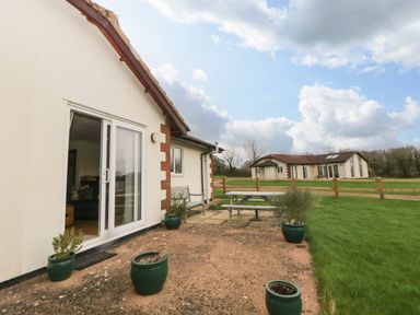 An outdoor patio area with green potted plants sliding glass door and picnic table outside a house at Broom Cottage Stoneleigh Holiday Village near Sidmouth