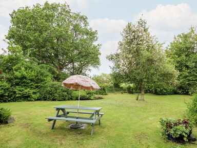A garden with a picnic table and umbrella surrounded by trees and plants at Maesgwyn in Bridell near Cardigan