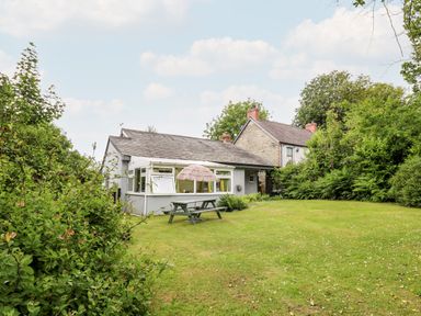 A garden with a picnic table and umbrella near houses surrounded by trees and bushes at Maesgwyn in Bridell near Cardigan
