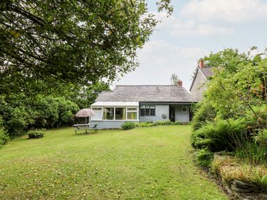 A house with a lawn and trees with a picnic table and umbrella in the garden at Maesgwyn in Bridell near Cardigan