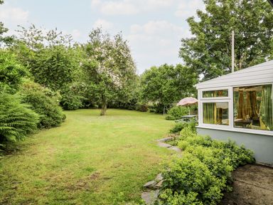 A garden with grass lawn trees and shrubs next to a conservatory at Maesgwyn in Bridell near Cardigan