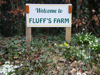 A sign reading welcome to fluff's farm surrounded by ivy and flowers