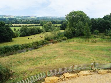 A fenced grassy field with trees and cows in the distance at Beautiful Cotswold View in Bourton-On-The-Water
