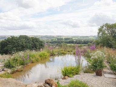 A garden pond surrounded by wildflowers and plants with a countryside landscape at Beautiful Cotswold View in Bourton-On-The-Water