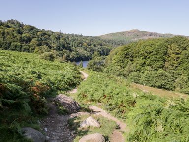 A dirt path surrounded by ferns and trees with hills and a lake visible in the distance at Church View in Ambleside