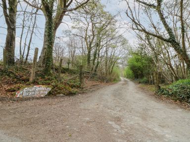 A dirt road lined with fenced trees and a metal gate and a rock painted with clwt y patrwn bryn yr haf near llanfair clydogau near lampeter