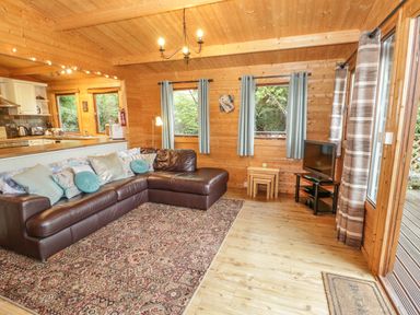 A living room with a brown leather sofa and television in a wooden cabin at Y Caban in Llechwedd The Conwy Valley
