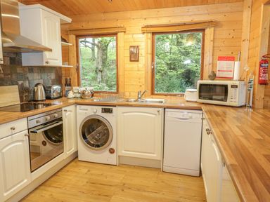 A kitchen with washing machine oven microwave and windows showing trees at Y Caban in Llechwedd The Conwy Valley