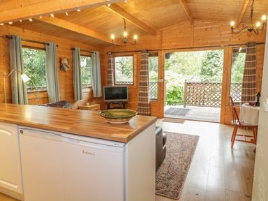 An open interior room with wooden walls and ceiling a kitchen island with a bowl a small dining table with two chairs a television on a stand and windows with curtains at Y Caban in Llechwedd The Conwy Valley