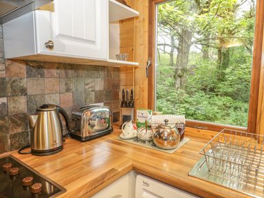 A kitchen countertop with kettle toaster tea set and dish rack next to a window showing trees at Y Caban in Llechwedd The Conwy Valley
