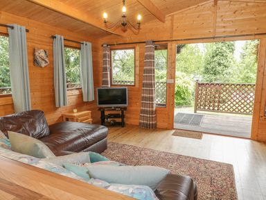 A living room with a brown leather sofa a rug a television and a view of a wooden deck at Y Caban in Llechwedd The Conwy Valley