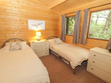 A bedroom with two single beds and two dressers with a lamp and painting at Y Caban in Llechwedd The Conwy Valley