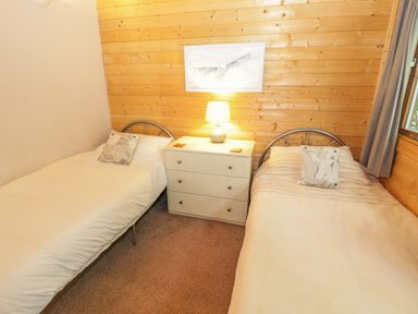 A bedroom with two single beds a nightstand with a lamp and a painting on a wooden wall at Y Caban in Llechwedd The Conwy Valley