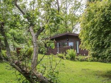 A wooden cabin with glass doors and a porch surrounded by trees and grass at Y Caban in Llechwedd The Conwy Valley