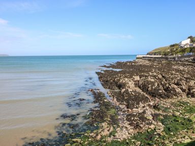 A rocky coastline with seaweed and a calm sea under a clear sky at Island View in Ardmore County Waterford