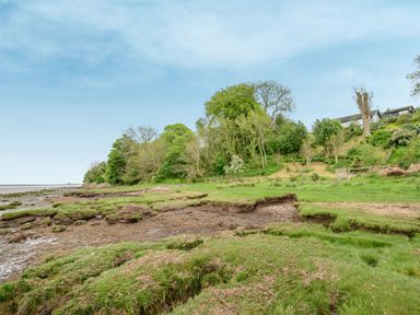 A grassy shoreline with trees and a house on a hill at Solway Cottage in Bowness-on-Solway near Wigton