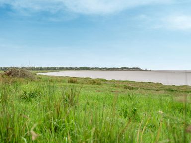 A grassy landscape beside a large body of water with a distant tree line at Solway Cottage in Bowness-on-Solway near Wigton