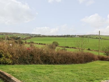 A grassy field with shrubs and utility poles in a rural area at Raheen in Castletownshend County Cork